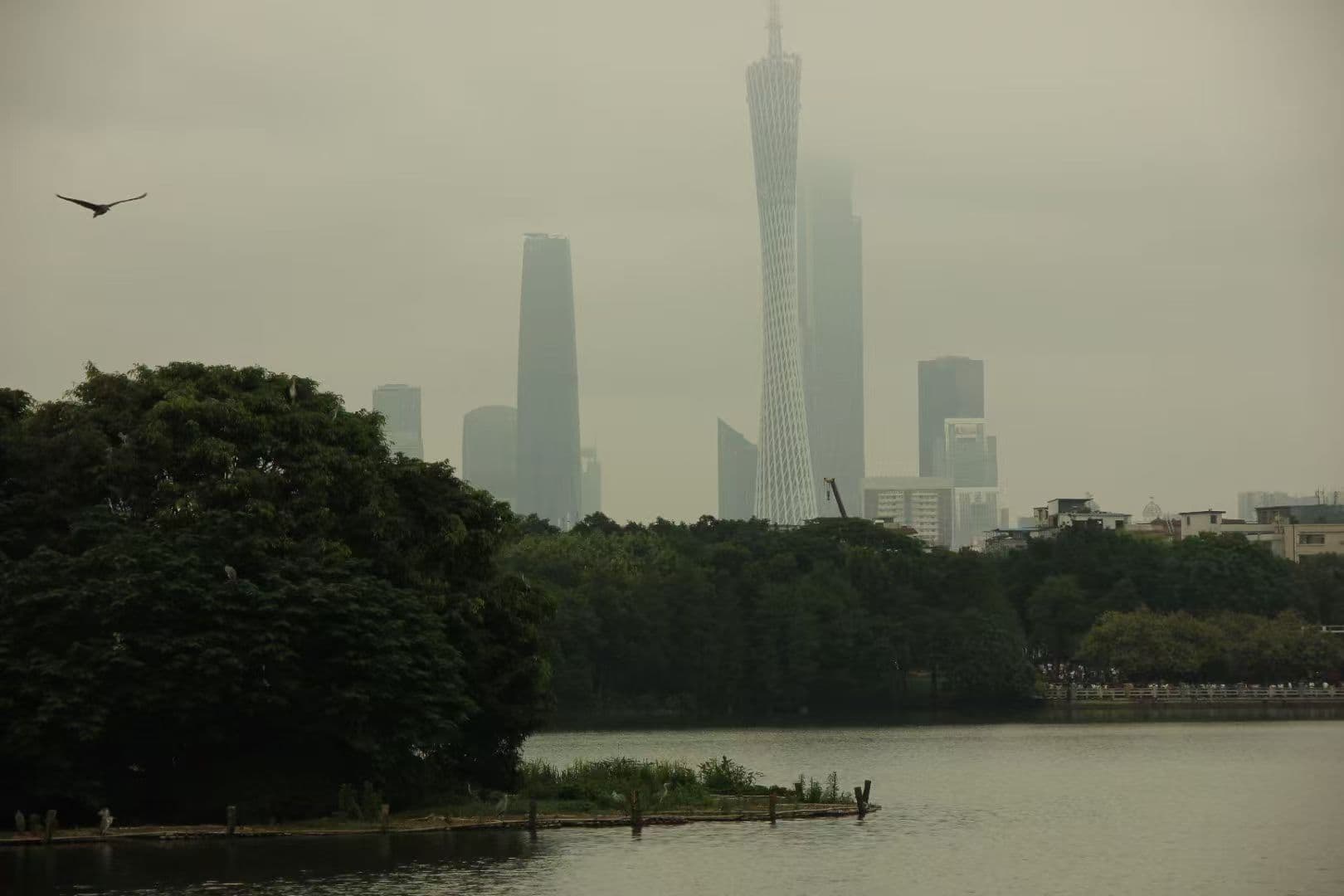城市
